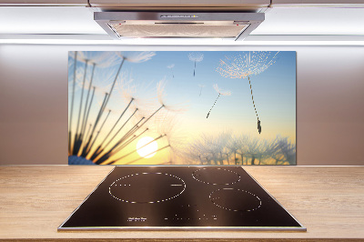 Glazen achterwand keuken Paardenbloemzaden