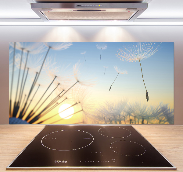 Glazen achterwand keuken Paardenbloemzaden