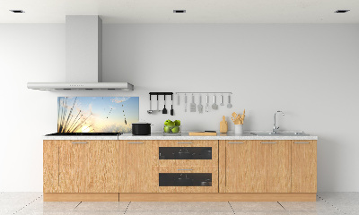 Glazen achterwand keuken Paardenbloemzaden