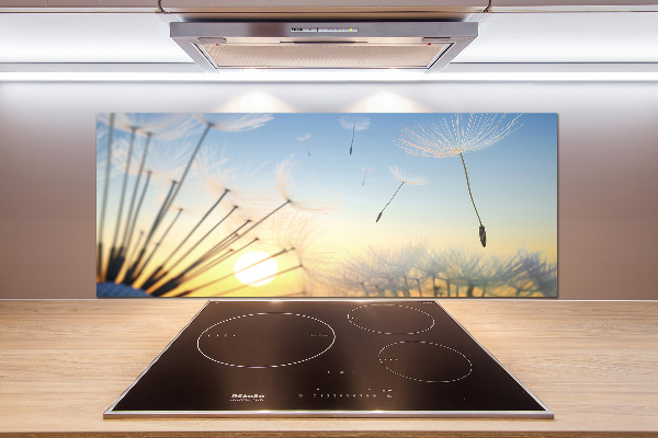 Panel do kuchni Nasiona dmuchawca