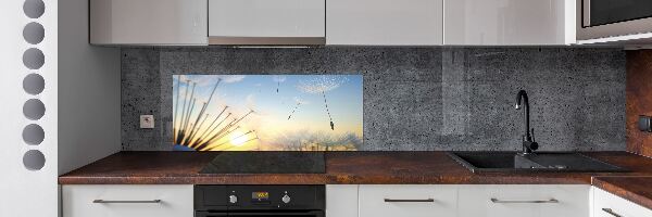 Glazen achterwand keuken Paardenbloemzaden