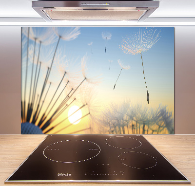 Glazen achterwand keuken Paardenbloemzaden