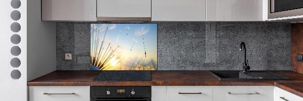 Glazen achterwand keuken Paardenbloemzaden