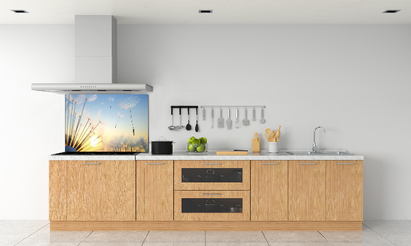 Glazen achterwand keuken Paardenbloemzaden