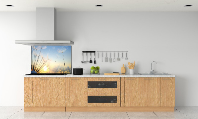 Glazen achterwand keuken Paardenbloemzaden
