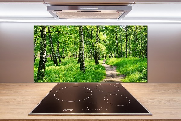 Panel dekor szkło Brzozowy las