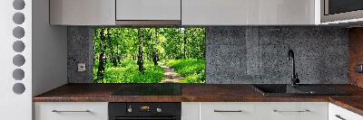 Panel dekor szkło Brzozowy las