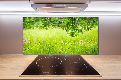 Panel dekor szkło Zielona łąka