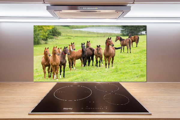 Keuken achterwand Een kudde paarden in de wei