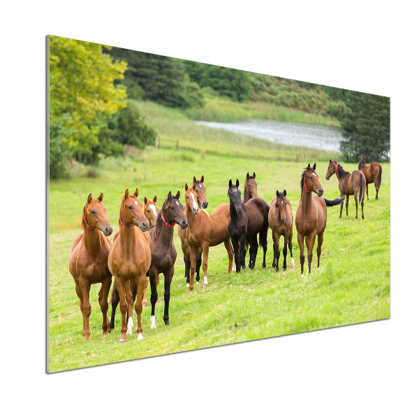 Keuken achterwand Een kudde paarden in de wei