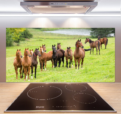 Keuken achterwand Een kudde paarden in de wei