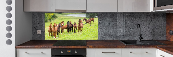 Keuken achterwand Een kudde paarden in de wei