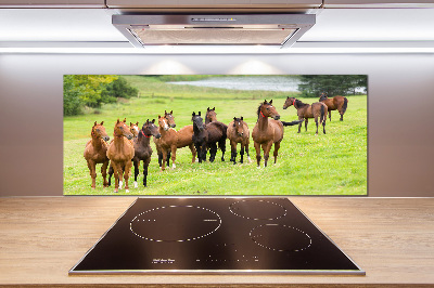 Keuken achterwand Een kudde paarden in de wei