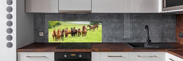 Keuken achterwand Een kudde paarden in de wei