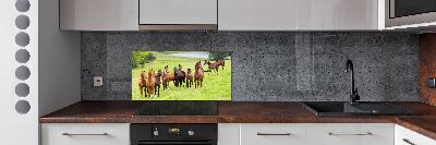 Keuken achterwand Een kudde paarden in de wei