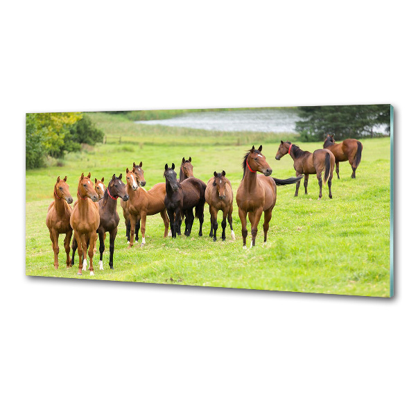Keuken achterwand Een kudde paarden in de wei