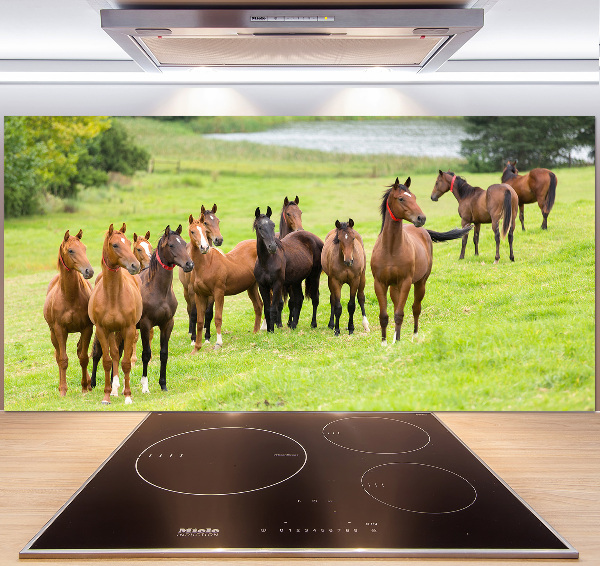 Keuken achterwand Een kudde paarden in de wei