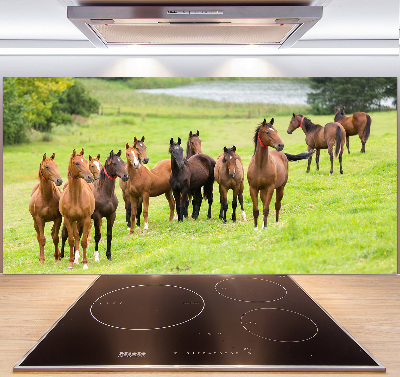 Keuken achterwand Een kudde paarden in de wei