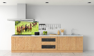 Keuken achterwand Een kudde paarden in de wei