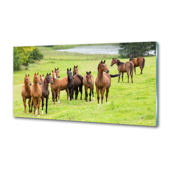 Keuken achterwand Een kudde paarden in de wei