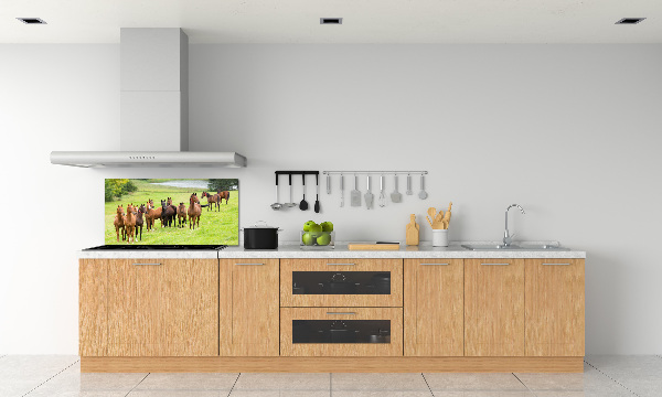 Keuken achterwand Een kudde paarden in de wei