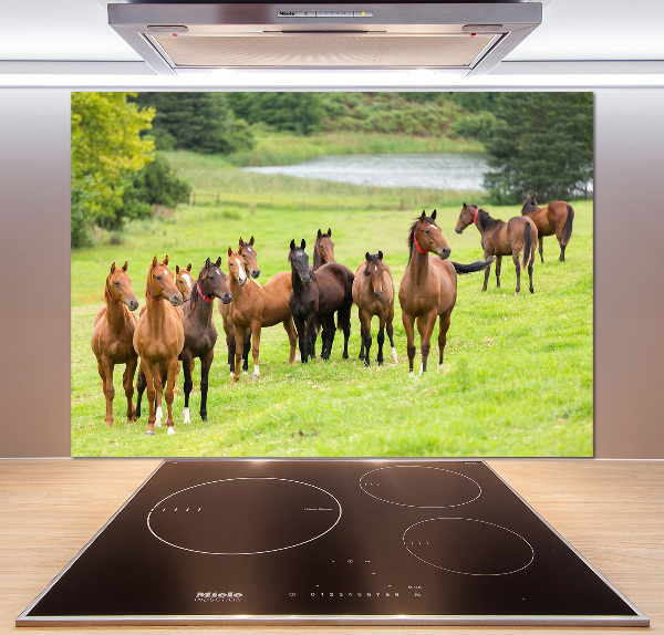 Keuken achterwand Een kudde paarden in de wei