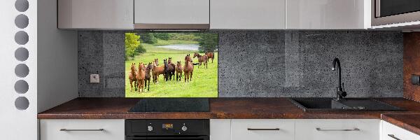 Keuken achterwand Een kudde paarden in de wei