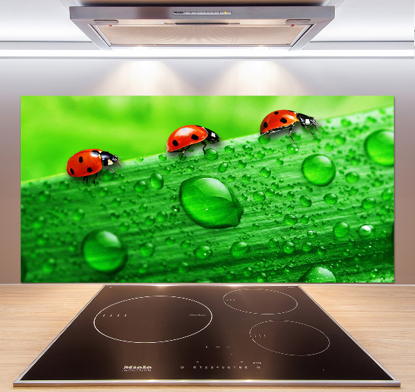Achterwand keuken Lieveheersbeestjes op het gras