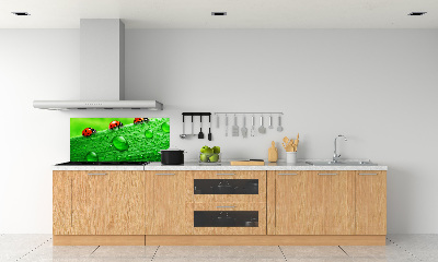 Achterwand keuken Lieveheersbeestjes op het gras