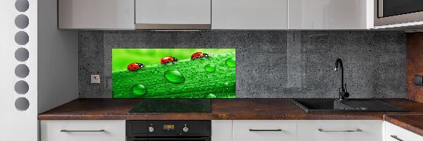 Panel lacobel Biedronki na trawie