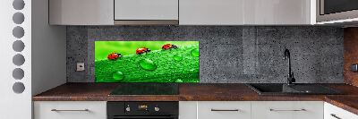 Achterwand keuken Lieveheersbeestjes op het gras