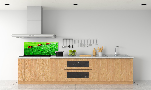 Achterwand keuken Lieveheersbeestjes op het gras