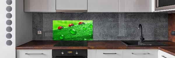 Achterwand keuken Lieveheersbeestjes op het gras