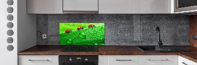 Achterwand keuken Lieveheersbeestjes op het gras