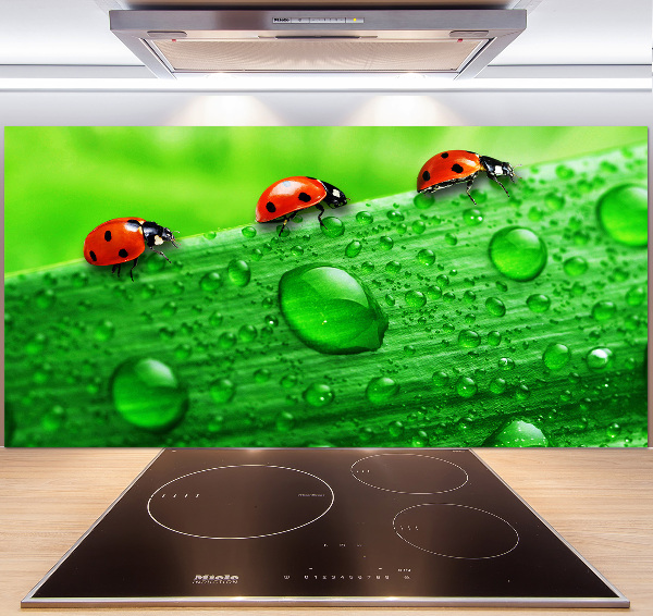 Achterwand keuken Lieveheersbeestjes op het gras