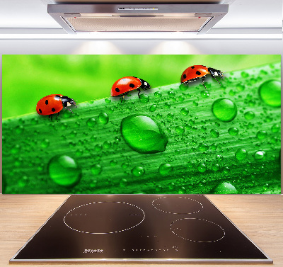 Achterwand keuken Lieveheersbeestjes op het gras