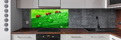 Achterwand keuken Lieveheersbeestjes op het gras