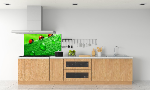 Achterwand keuken Lieveheersbeestjes op het gras