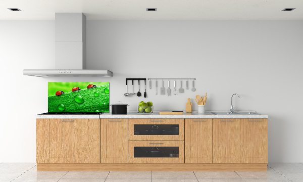 Achterwand keuken Lieveheersbeestjes op het gras