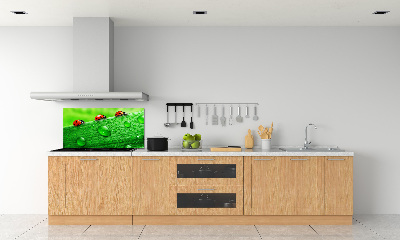 Achterwand keuken Lieveheersbeestjes op het gras