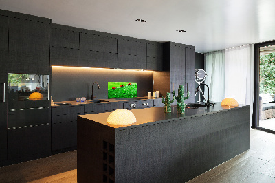 Achterwand keuken Lieveheersbeestjes op het gras