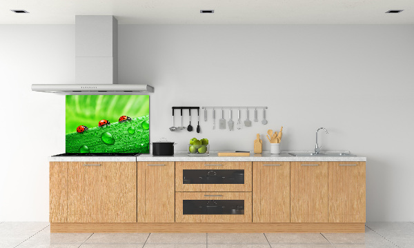 Achterwand keuken Lieveheersbeestjes op het gras