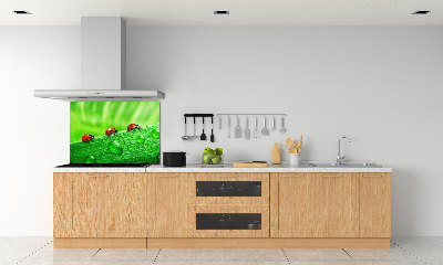 Achterwand keuken Lieveheersbeestjes op het gras