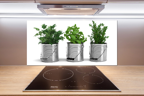 Keuken achterwand Aromatische planten