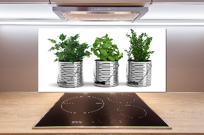 Panel lacobel Aromatyczne rośliny