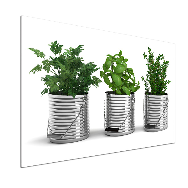 Keuken achterwand Aromatische planten