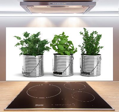 Keuken achterwand Aromatische planten