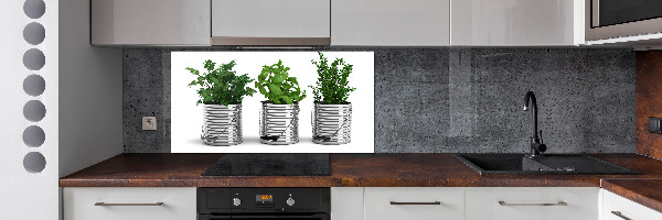 Keuken achterwand Aromatische planten