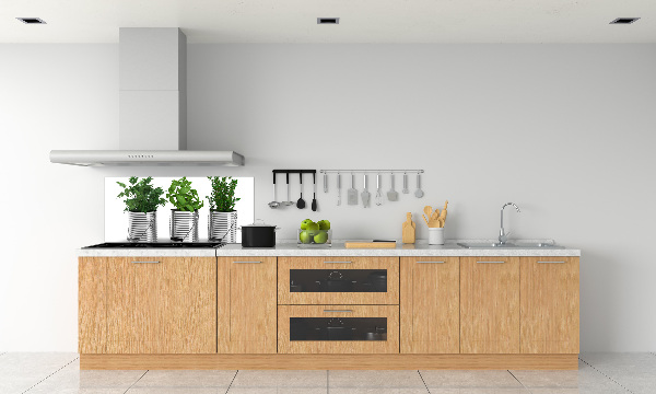 Keuken achterwand Aromatische planten