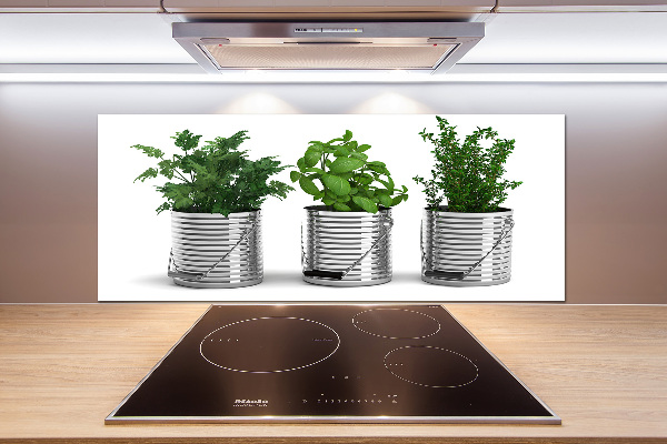 Keuken achterwand Aromatische planten